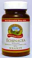   Echinacea ()