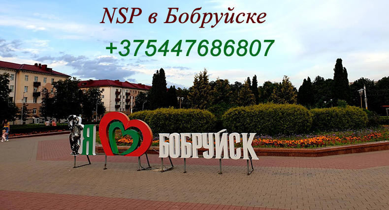 Продукция  NSP в Бобруйске, Цена