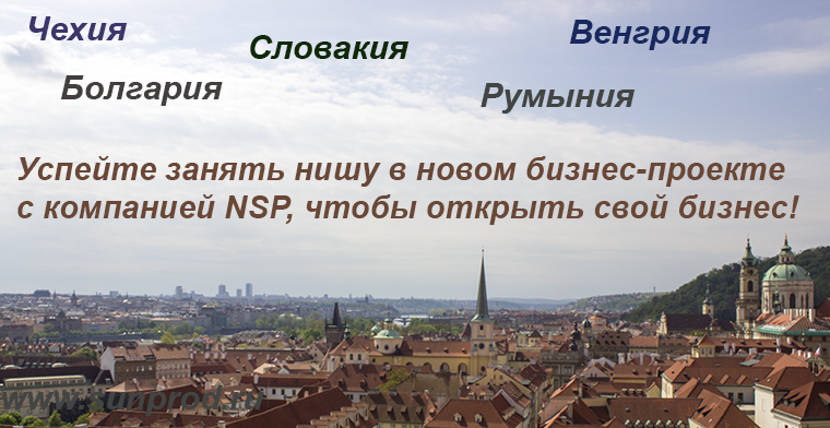 Фрейдкин Александр, Компания  NSP в Словакии, Чехии, Венгрии, Болгарии, Румынии